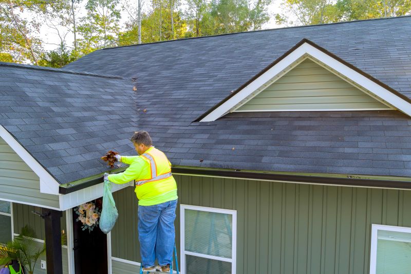 Gutter and Roof Flashing Services